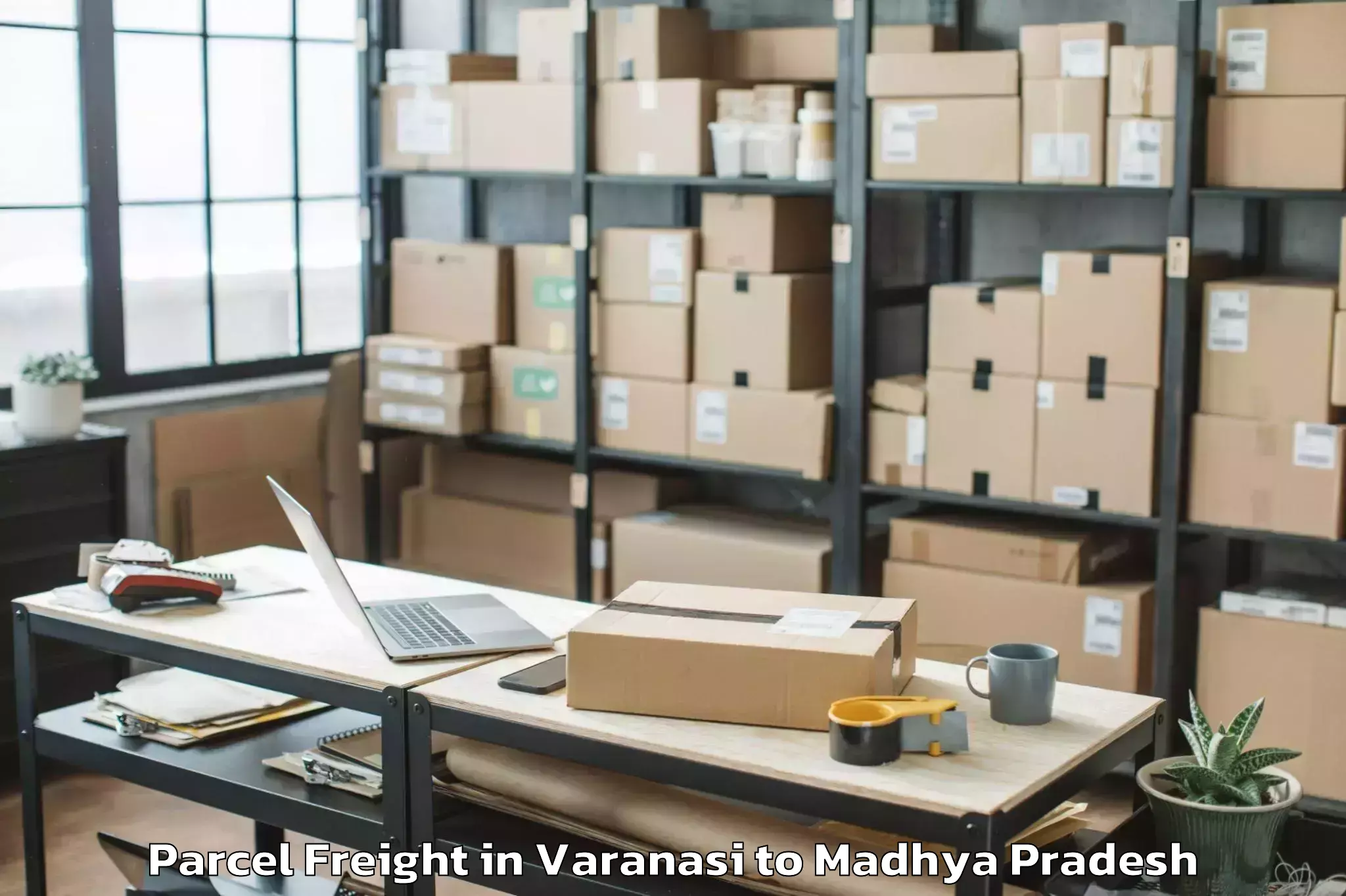 Book Varanasi to Barnagar Parcel Freight Online